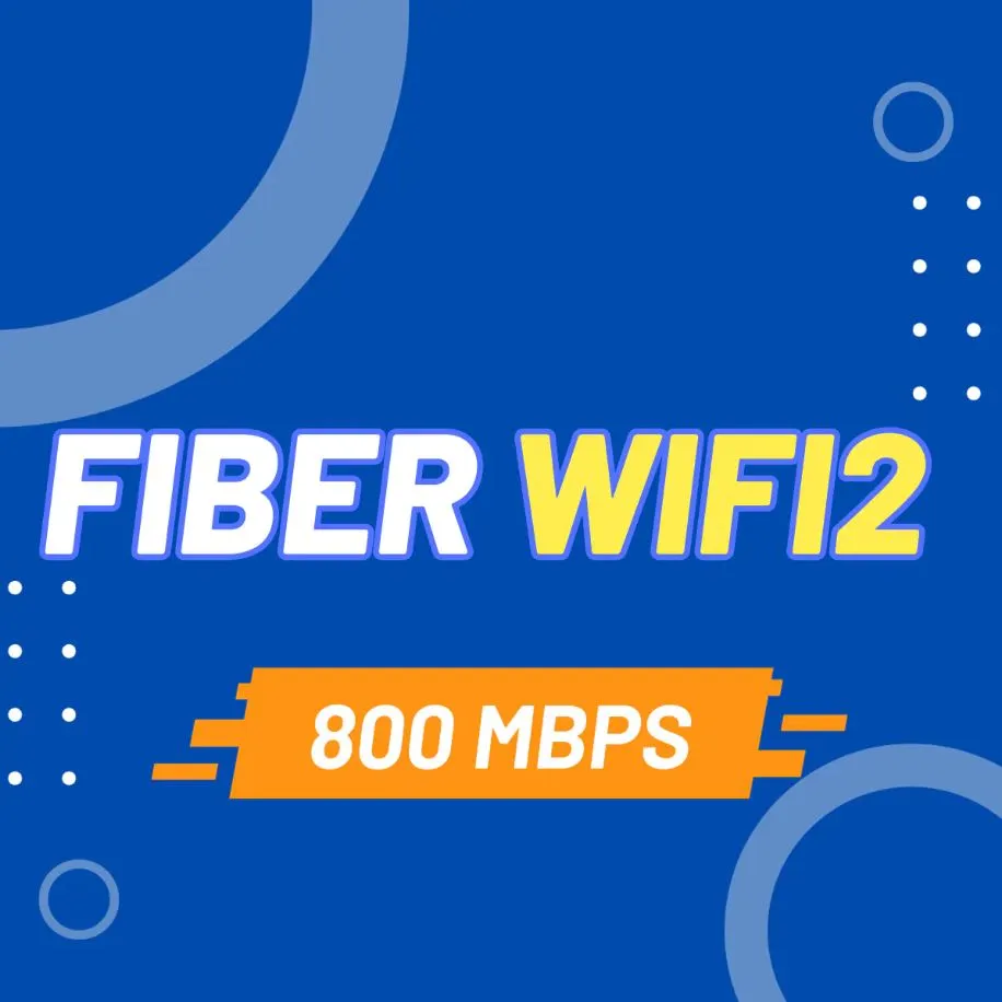 Fiber wifi2